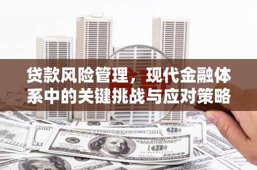 金安贷款风险管理，现代金融体系中的关键挑战与应对策略