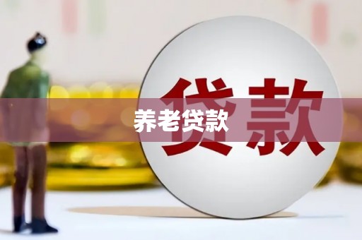 金安养老贷款