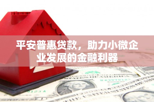 金安平安普惠贷款，助力小微企业发展的金融利器