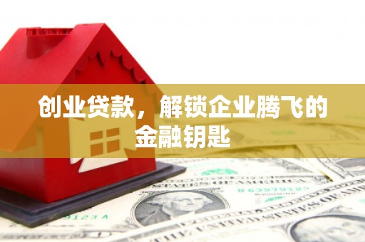 金安创业贷款，解锁企业腾飞的金融钥匙