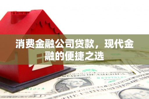 金安消费金融公司贷款，现代金融的便捷之选