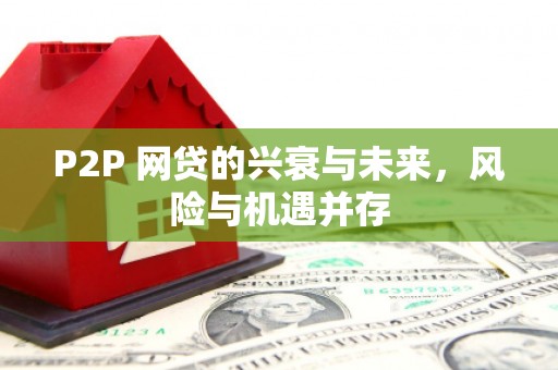 金安P2P 网贷的兴衰与未来，风险与机遇并存