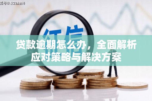 金安贷款逾期怎么办，全面解析应对策略与解决方案