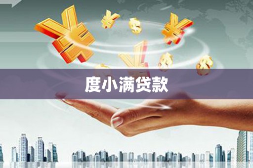 金安度小满贷款