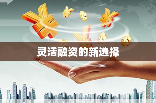 金安灵活融资的新选择