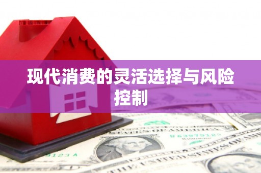 金安现代消费的灵活选择与风险控制