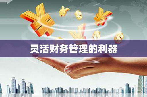 金安灵活财务管理的利器