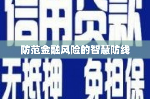 金安防范金融风险的智慧防线