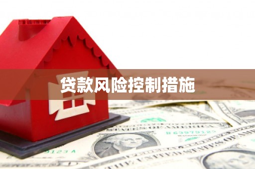 金安贷款风险控制措施