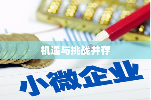 金安机遇与挑战并存 金安机遇与挑战并存