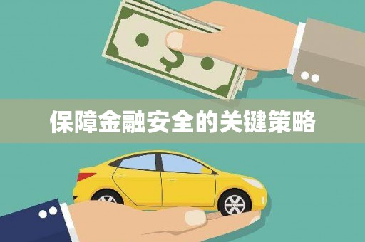 金安保障金融安全的关键策略