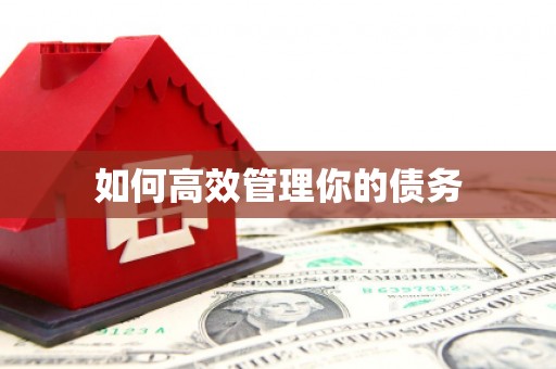 金安如何高效管理你的债务