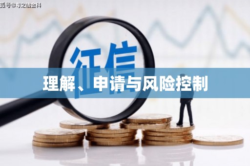 金安理解、申请与风险控制