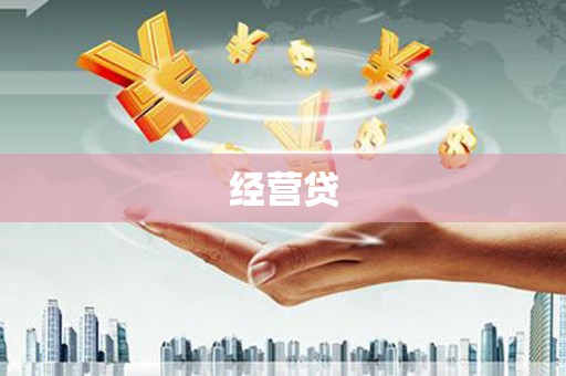 金安经营贷