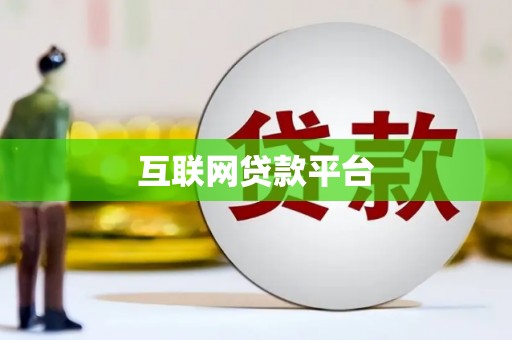 金安互联网贷款平台