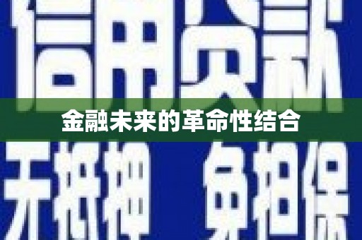 金安金融未来的革命性结合