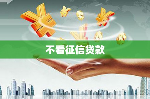 金安不看征信贷款
