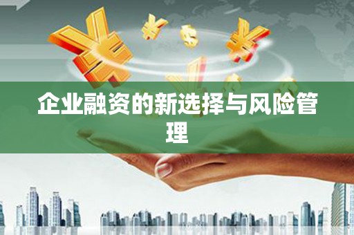 金安企业融资的新选择与风险管理