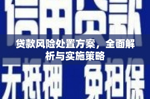 金安贷款风险处置方案，全面解析与实施策略