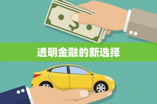 金安透明金融的新选择