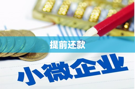 金安提前还款