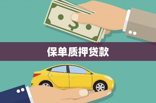 金安保单质押贷款