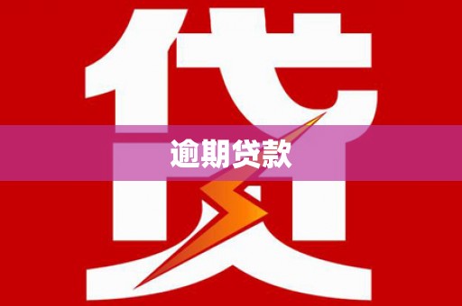 金安逾期贷款