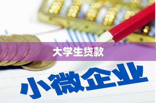 金安大学生贷款
