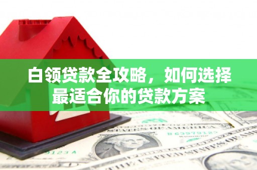金安白领贷款全攻略，如何选择最适合你的贷款方案