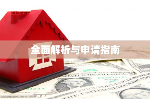 金安全面解析与申请指南