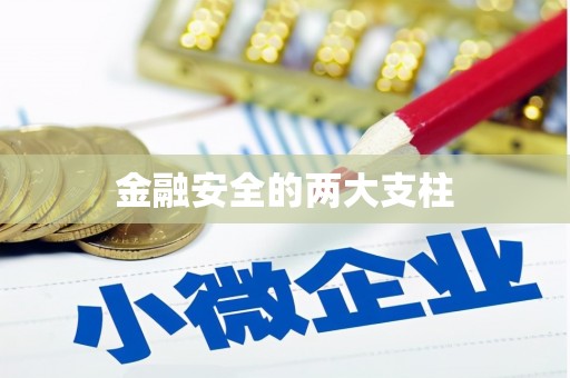 金安金融安全的两大支柱