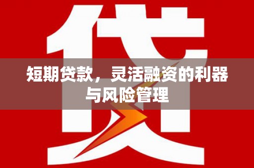 金安短期贷款，灵活融资的利器与风险管理